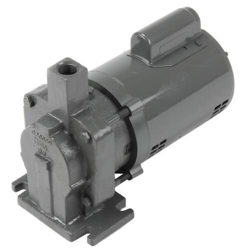 B-PUMP & MOTOR 1/3HP 115/230V (609PF)