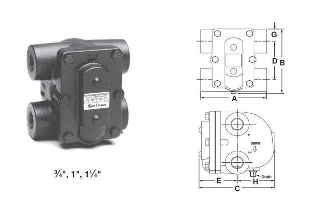 FT125H F&T Trap 1 IN. H Pattern